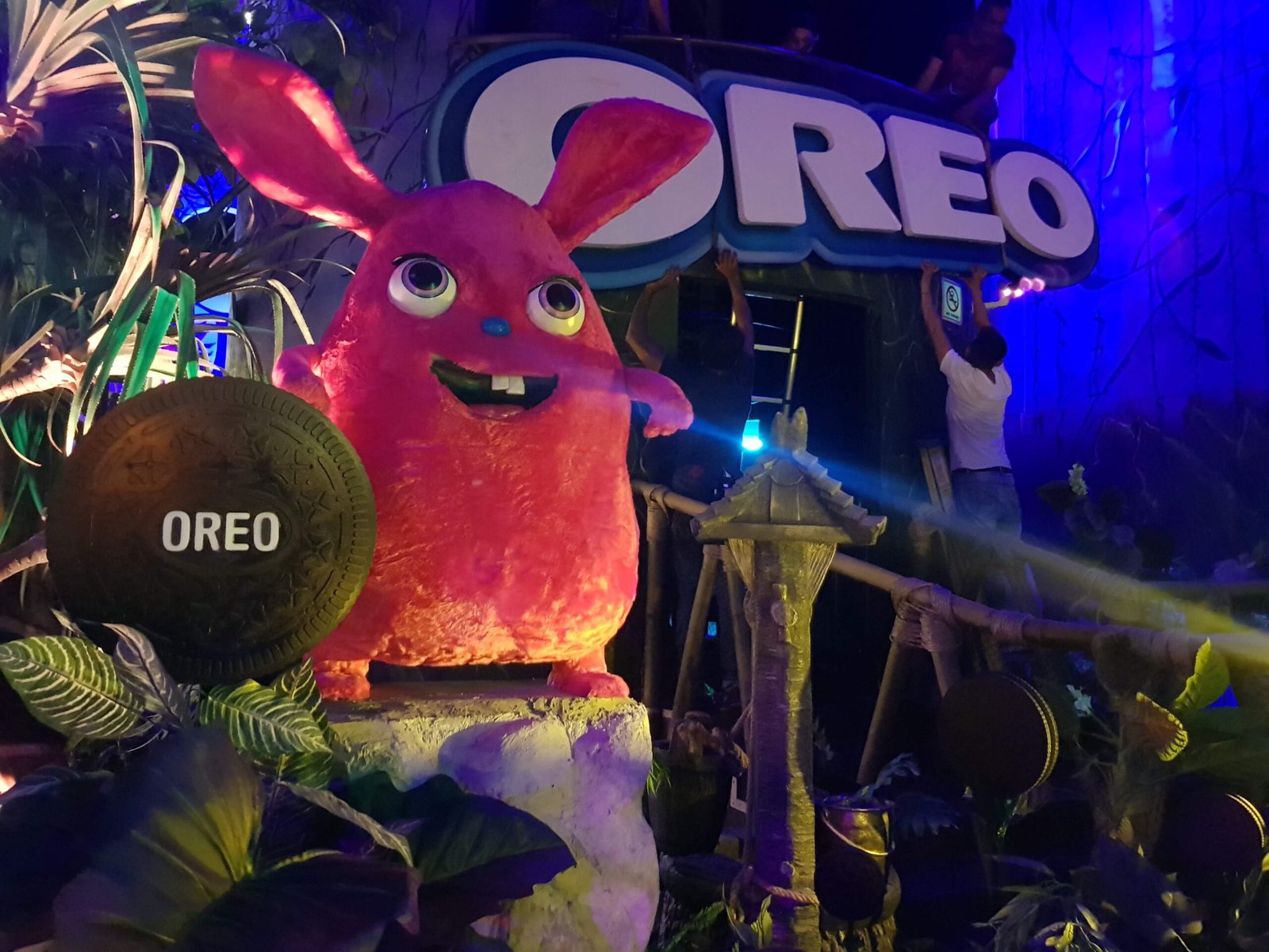 20190819_224832-scaled